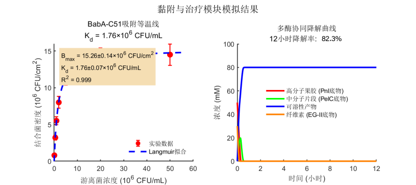8100ba50478497e81d5e63a0647bd56f