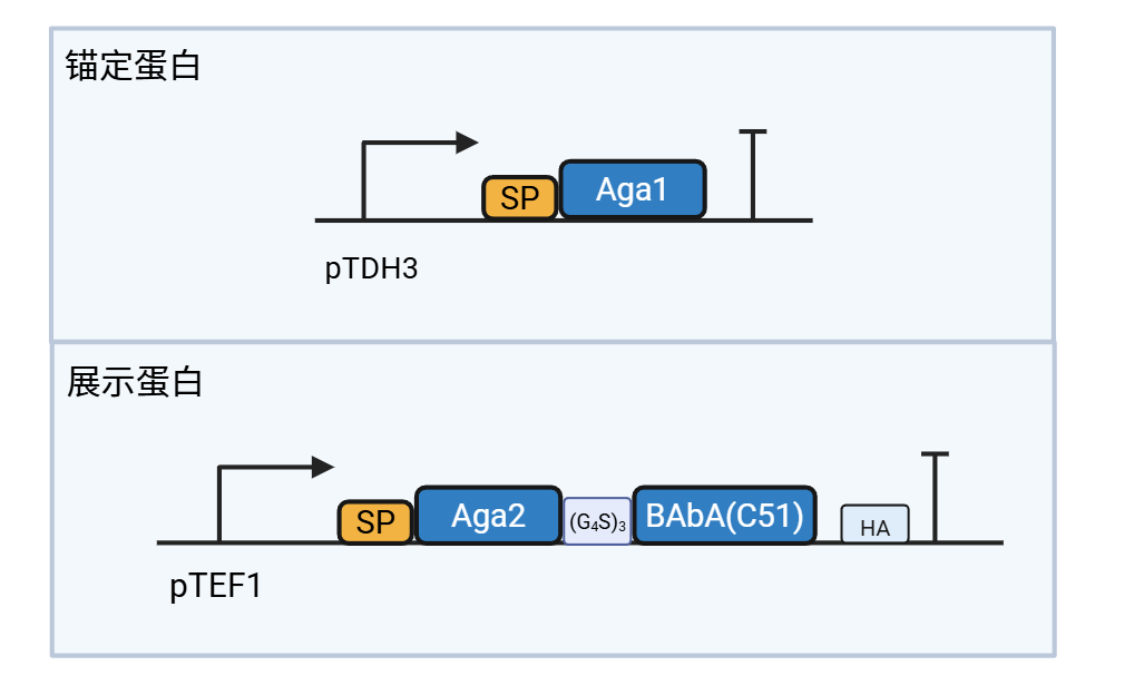c1c1bb5114b34e32138500b5b8e4aa73