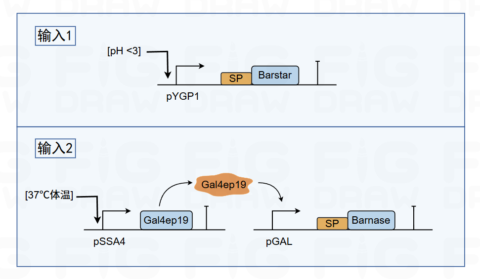 f9d606090d14ff86af07d52ae3df7e84